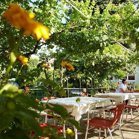 Weingut Pension Sommerhof Moerbisch Am See Exterior photo