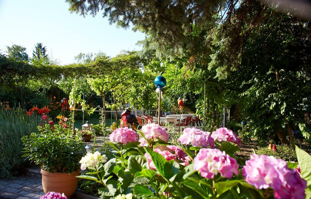 Weingut Pension Sommerhof Moerbisch Am See Exterior photo